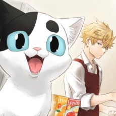 カミムラリドル