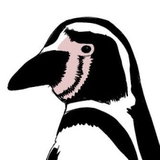 藤野ポチョムキン