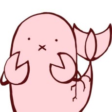 さくらえびちま