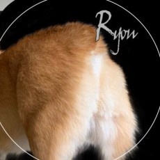 みずかねりょう