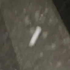 にゃんにゃんファクトリー