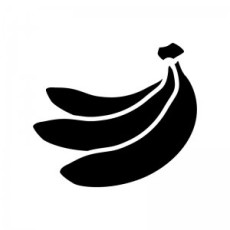 バショウ科バショウ属