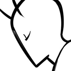 ナマキマキセミ