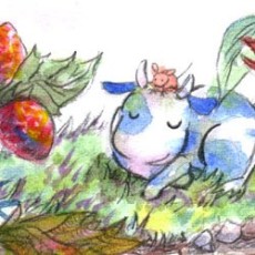 ハレのちハレタ