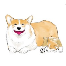 ヨネモンタケアキ