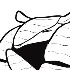 太田ユータロー