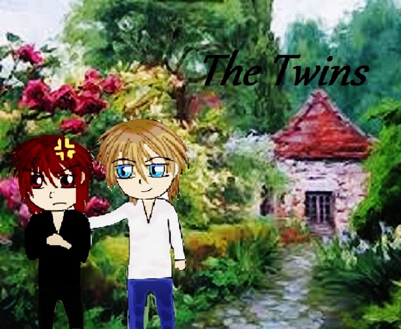 The Twins