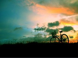 君が降らせた雪