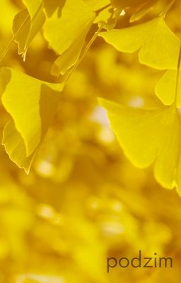 podzim