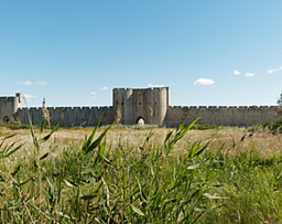 La Forteresse de Kudourt