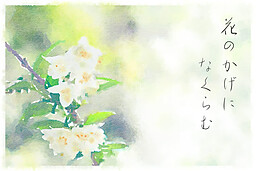 花のかげになくらむ