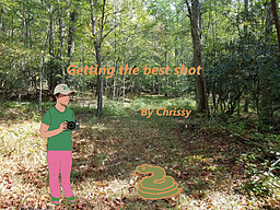 Getting the best shot