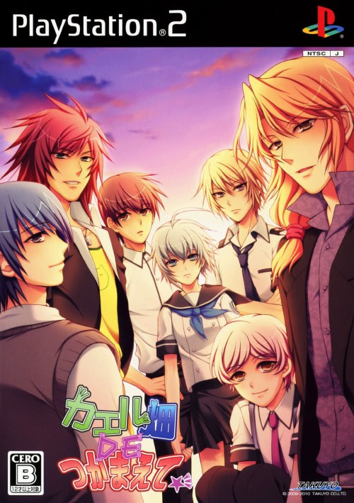 カエル畑DEつかまえて☆彡