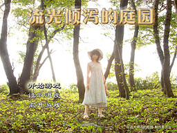 流光倾泻的庭园
