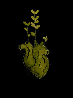 The Last Night of Lotosk