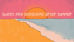 Sweet Pea: Blossoms After Summer