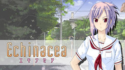 Echinacea ～エキナセア～