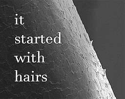 It Started With Hairs