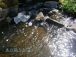 水の揺りかご