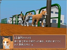 猫の名前は左衛門のすけ