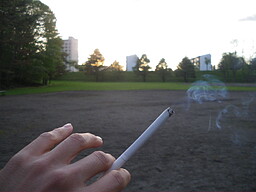 Parliament ～高貴なるモノとの日常～