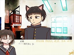 卯月如月時々猫