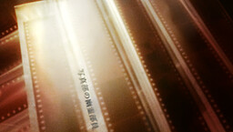 写真部の幽霊部員