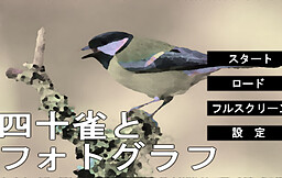 四十雀とフォトグラフ