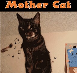 Mother Cat