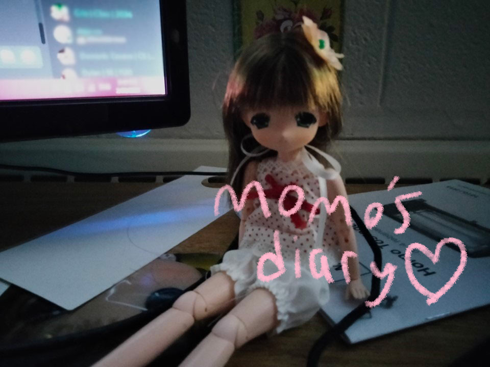 Momo's Diary