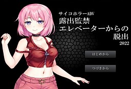 露出監禁エレベーターからの脱出