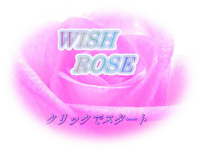 WISH ROSE