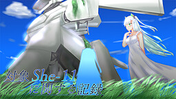 対象She-11に関する記録