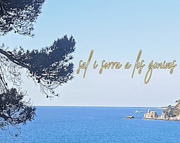 Sal i sorra a les genives