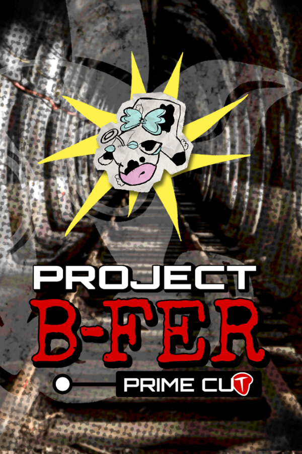 Project B-FER