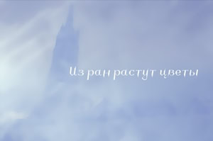 Из ран растут цветы