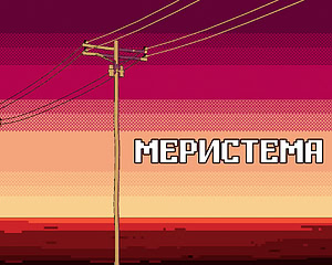 Меристема