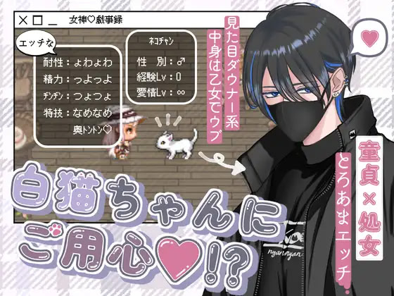 白猫ちゃんにご用心
