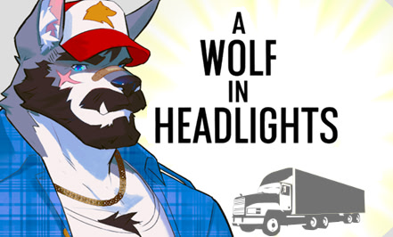 A Wolf in Headlights