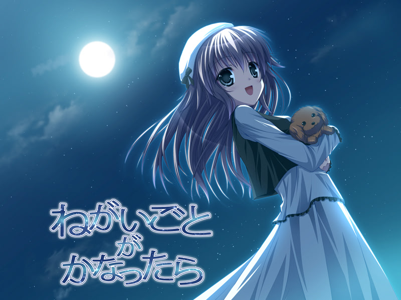 ねがいごとがかなったら