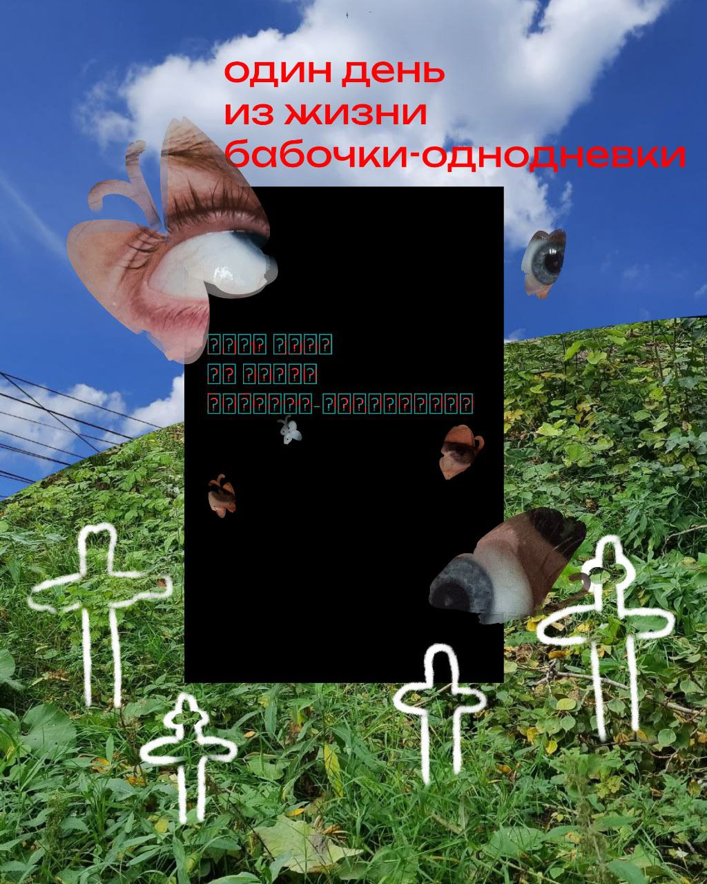 Один день из жизни бабочки-однодневки