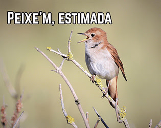 Peixe'm, estimada