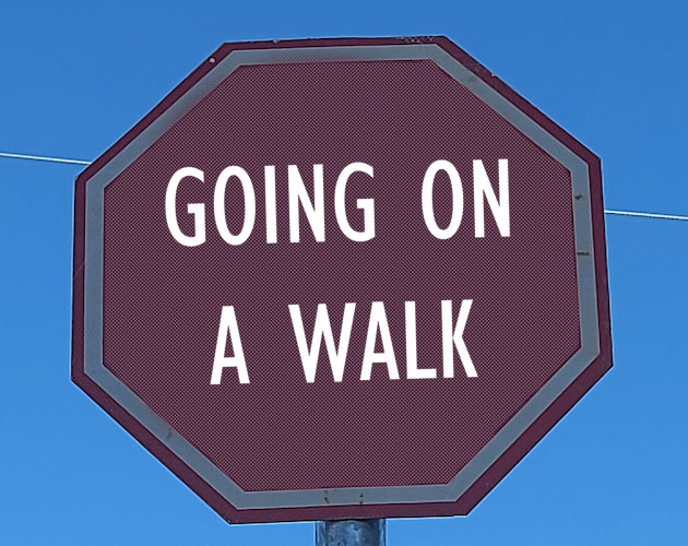 Going on a Walk