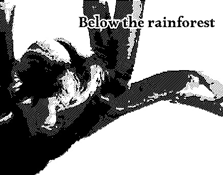 Below the Rainforest
