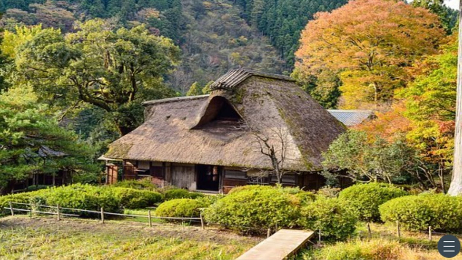 あの子を失ってからというもの