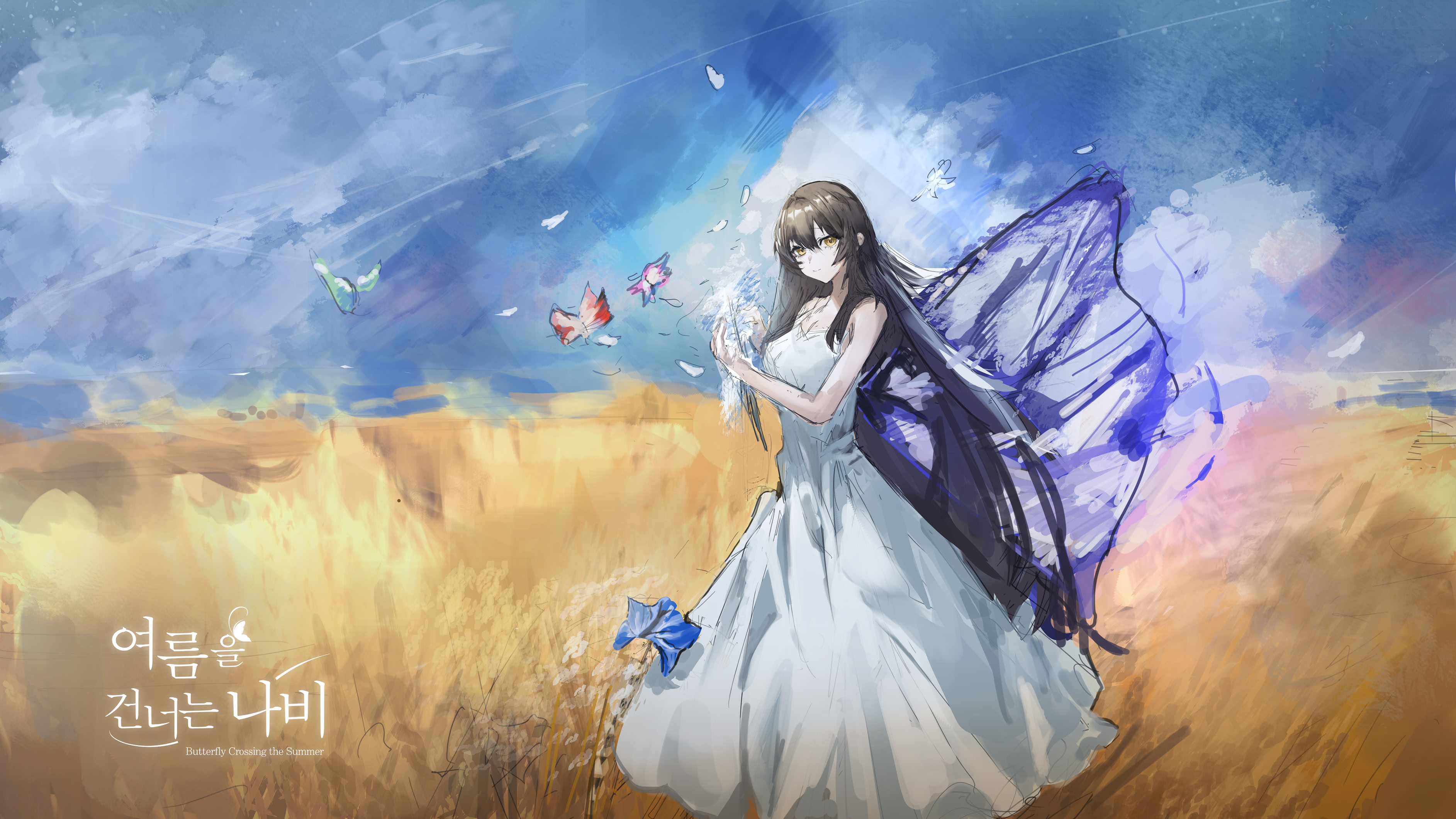 여름을 건너는 나비