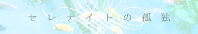 セレナイトの孤独