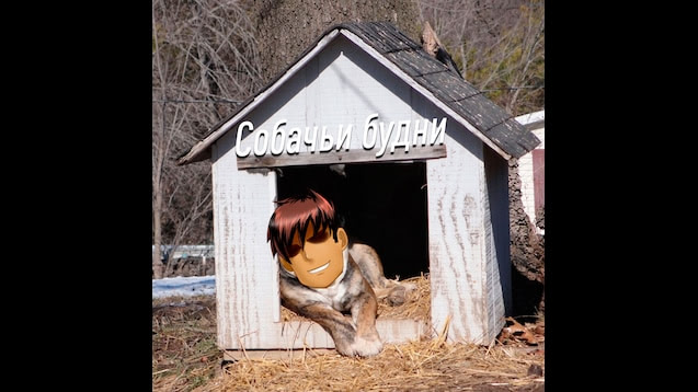 Собачьи будни