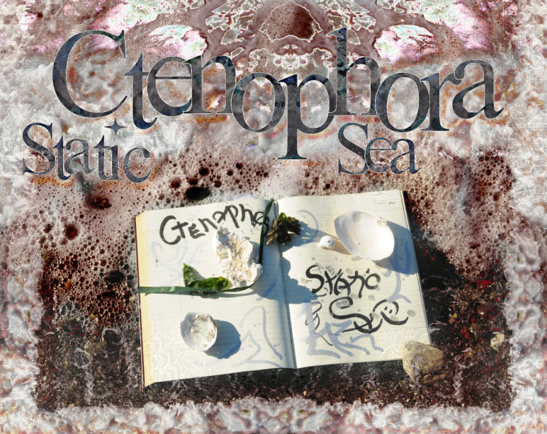 Ctenophora Static Sea