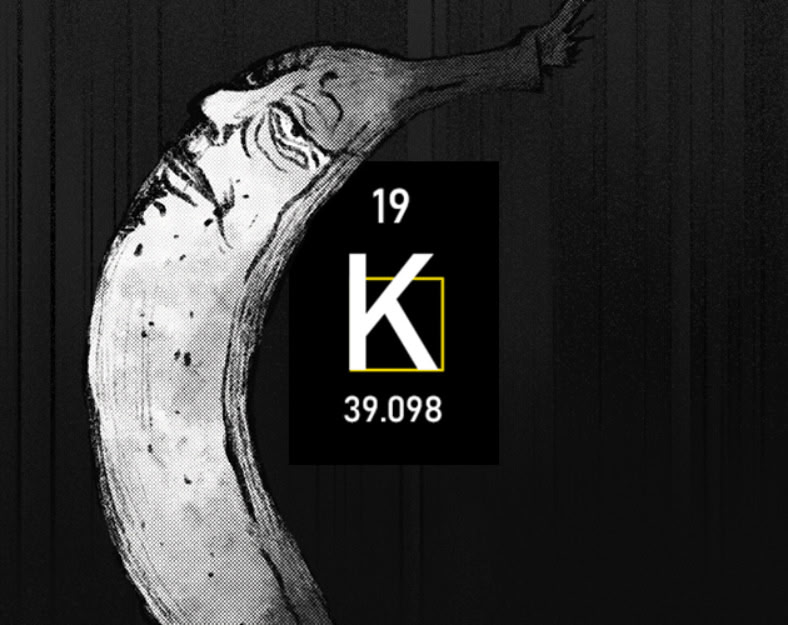 K19